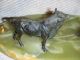 Fine & Exquisite Antique Austrian Bronze Bull & Bear Pen Holder Stock Broker Metalware photo 7