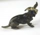 Cold Painted Vienna Bronze Dog Miniature,  Sick Pup Metalware photo 2