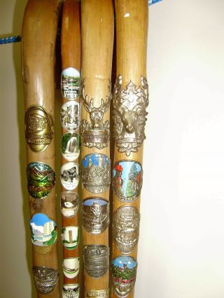 4 Antique Black Forest Walking Sticks With Badges From Germany - 47 Badges photo