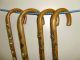 4 Antique Black Forest Walking Sticks With Badges From Germany - 47 Badges Other photo 1