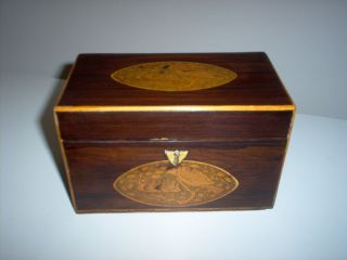 All Ca 1820 Shell Inlay Tea Caddy Antique Box. photo