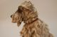 Large Guido Cacciapuoti Porcelain Dog - Made In Italy - In Figurines photo 2
