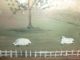 Antique Vintage Tole Painted Metal Toolbox Metalware photo 9