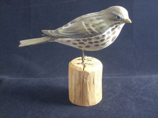 Vintage Signed Peter Peltz Wood Song Sparrow Hand Carved Painted Bird Cape Cod photo