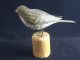 Vintage Signed Peter Peltz Wood Song Sparrow Hand Carved Painted Bird Cape Cod Carved Figures photo 1