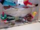 12 Vintage Chenille Birds Made In People ' S Republic Of China (christmas?) Other photo 8