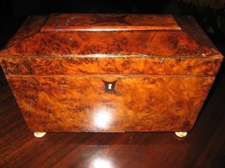 1800s Antique Rare Elm Burl Inlaid Inlay Tea Caddy photo