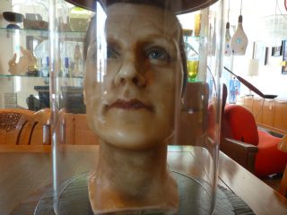 Antique Wax Head Victorian,  Glass Eyes Goodwins London Mannequin Shop Displa photo