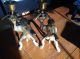 Vintage Pair Monkey Ape Bronze Brass Candle Holders Candlesticks Look Metalware photo 1