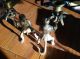 Vintage Pair Monkey Ape Bronze Brass Candle Holders Candlesticks Look Metalware photo 2