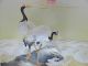 Stunning Vinatge Signed Japanese Mixed Metal Highly Deatail Cranes Plaque Tile Other photo 8