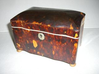 Faux Tortoiseshell Tea Caddy 19th C. photo