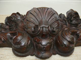 19thc Oak Carved Pediment With Shell & Flowers photo