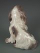 Dahl Jensen Copenhagen Porcelain Prince Charles Toy Spaniel Dog Figurine 1133 Figurines photo 2