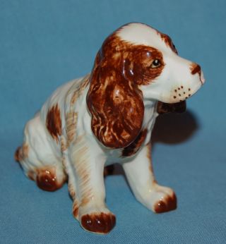 Vintage Porcelain Stunning Springer Cocker Spaniel Dog Figurine photo