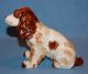 Vintage Porcelain Stunning Springer Cocker Spaniel Dog Figurine Figurines photo 1