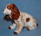 Vintage Porcelain Stunning Springer Cocker Spaniel Dog Figurine Figurines photo 2