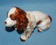 Vintage Porcelain Stunning Springer Cocker Spaniel Dog Figurine Figurines photo 3