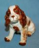 Vintage Porcelain Stunning Springer Cocker Spaniel Dog Figurine Figurines photo 4