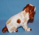 Vintage Porcelain Stunning Springer Cocker Spaniel Dog Figurine Figurines photo 7
