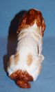 Vintage Porcelain Stunning Springer Cocker Spaniel Dog Figurine Figurines photo 8