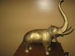 Antique Brass Elephant photo