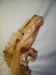 Burl Wood Wooden Horse Sculpture Carving Aspen? Oak?? Type Of Wood ? Mustang ? Carved Figures photo 2