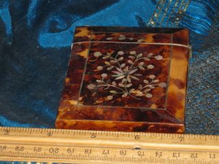 Rare Faux Shell & Bone 19th Century Mother Of Pearl Card Holder Felt 1800s Nr photo