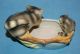 Vintage Japan Porcelain Ceramic Pottery Darling Raccoon & Baby Figurine/planter Figurines photo 10