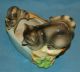 Vintage Japan Porcelain Ceramic Pottery Darling Raccoon & Baby Figurine/planter Figurines photo 3