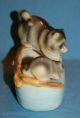 Vintage Japan Porcelain Ceramic Pottery Darling Raccoon & Baby Figurine/planter Figurines photo 8