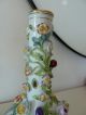 Rare Meissen Crossed Swords Germany Vase Applied Flowers,  Insects & Fruits Vases photo 10