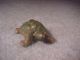 Antique Cast Iron Turtle Paperweight 