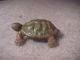 Antique Cast Iron Turtle Paperweight 