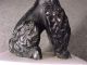 Unusual Very Classy French Poodle Paperweight In Great Form/design Carved Marble Metalware photo 5