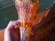 Vintage Carnival Glass Automobile Flower Vase Antique Car Parts Chevy Packard Nr Vases photo 3