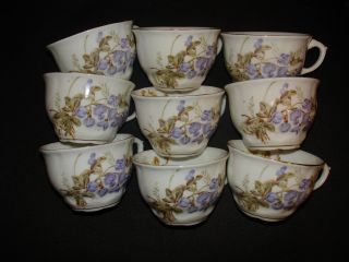Antique 1800 ' S German Porcelain Kpm Teacups Purple Floral photo
