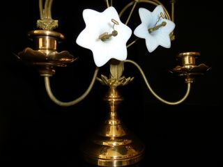 Fantastic Pair Of Antique Candleholders White Opaline Blossoms France 1880/90s photo