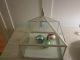 Great Look Vintage? Glass Terrarium With Metal/nice Design W Finial On Top. Other photo 1