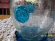 Antique Clear Crackle Glass Vase With Blue Flowers - Almost 100 Years Old Other photo 1