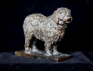Sheepdog Bronze Figurine By William C.  Noble From The Rockefeller Estate photo