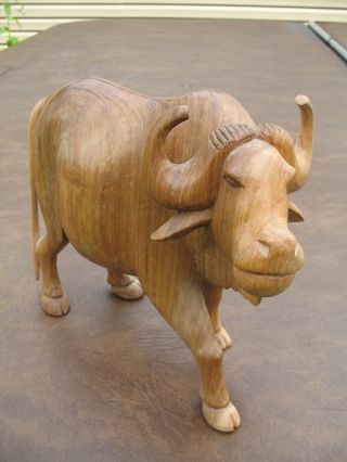 Large Hand Carved Wood Wooden Ox / Oxen Decorative Figure Sculpture Collectible photo