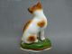 Antique German Chelsea Cat Figurine Figure Miniature Staffordshire Exc Condition Figurines photo 3