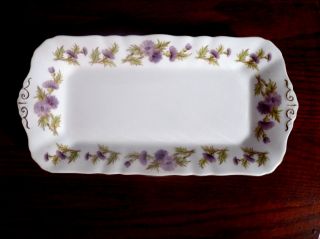 Paragon Bone China England Highland Queen Thistle Celery Serving Tray Platter photo