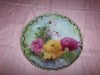 Large 13 1/4 Hand Painted Plate By Master China Painter photo