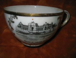 St.  Louis Exposition - 1904 - Cup - Victoria Carlsbad Austria - Palace Fine Of Arts photo