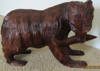 Black Forest Rustic Huge Folk Art Hand Carved Wood Alaskan Bear Carving photo