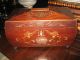 1800s Antique Fabulous Rare Serpent Lion Rosewood Tea Caddy Nr Boxes photo 10