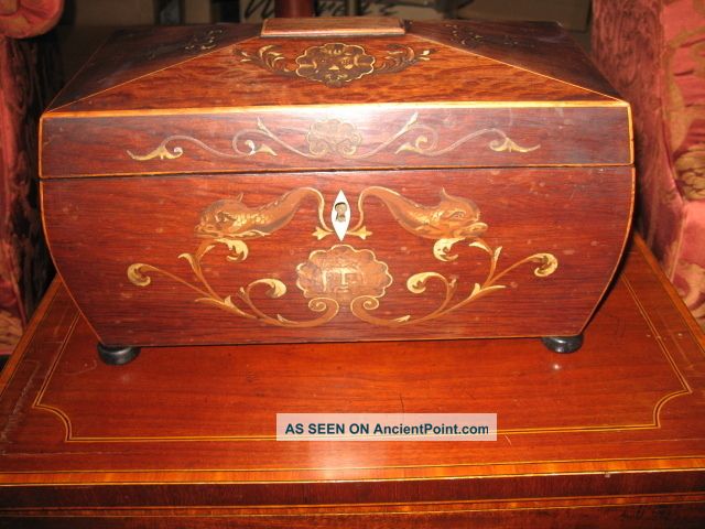 1800s Antique Fabulous Rare Serpent Lion Rosewood Tea Caddy Nr Boxes photo