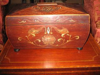 1800s Antique Fabulous Rare Serpent Lion Rosewood Tea Caddy Nr photo